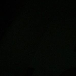 Meet your Posher, Shenika